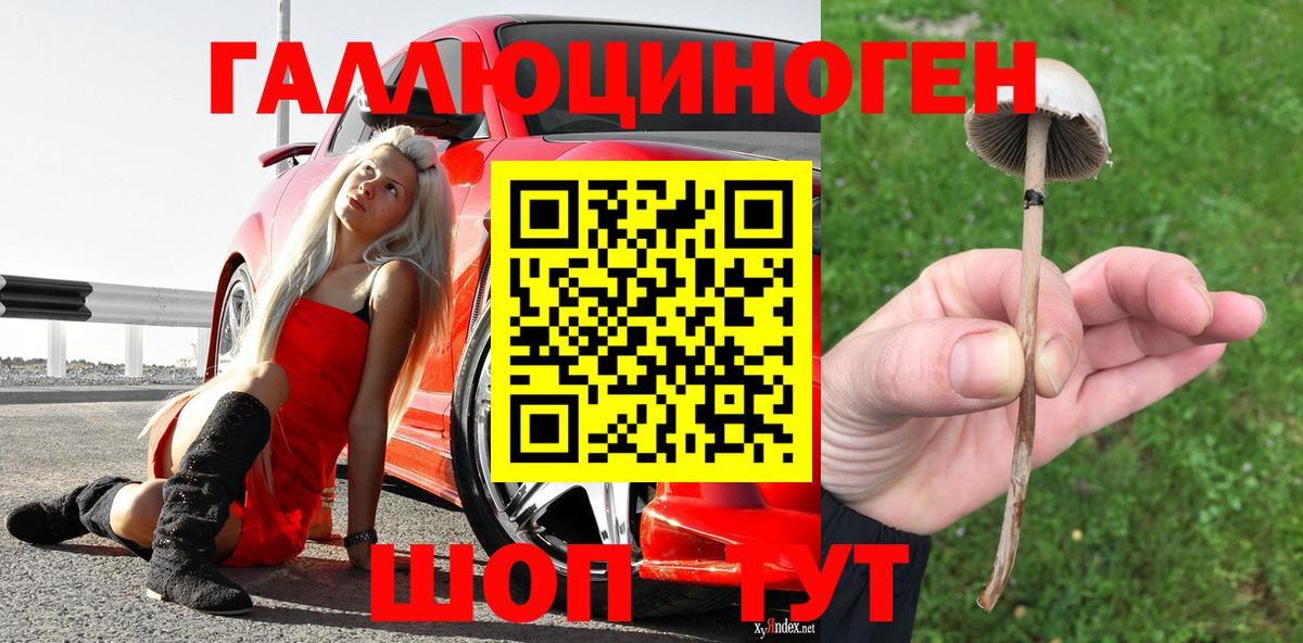 Галлюциногенные грибы Magic Shrooms  Вход с VPN  Новошахтинск 